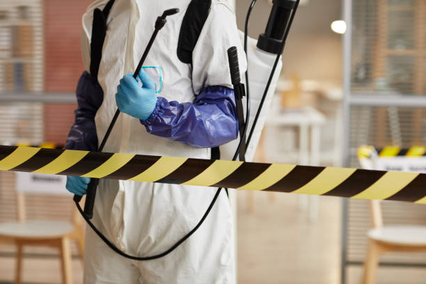 Professional Sewage Cleanup technician working in Morse Bluff, NE